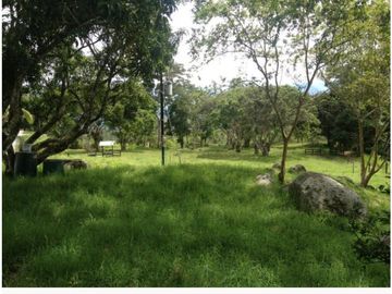 Venta de finca en Venecia Antioquia. Via Bolombolo.