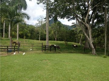 Venta de finca en Venecia Antioquia. Via Bolombolo.
