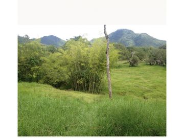 Venta de finca en Venecia Antioquia. Via Bolombolo.