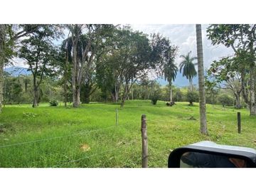 Venta de finca en Venecia Antioquia. Via Bolombolo.