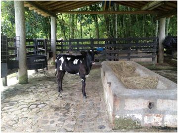 Venta de finca en Venecia Antioquia. Via Bolombolo.