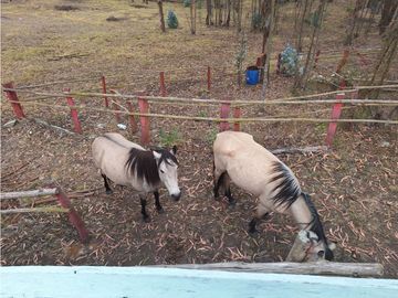 ESPECTACULAR FINCA EN VENTA, BOJACA CUNDINAMARCA