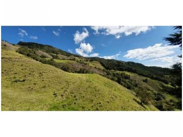 FINCA PARA PROYECTO MEDIANO IDEAL AGUACATES HASS