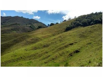 FINCA PARA PROYECTO MEDIANO IDEAL AGUACATES HASS