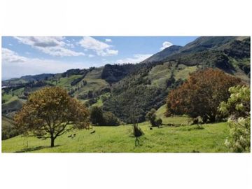 FINCA PARA PROYECTO MEDIANO IDEAL AGUACATES HASS