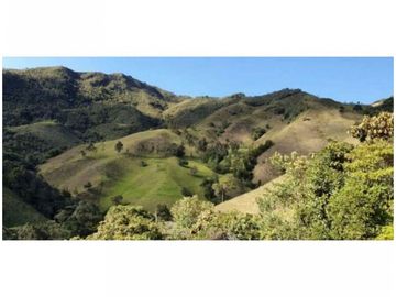 FINCA PARA PROYECTO MEDIANO IDEAL AGUACATES HASS