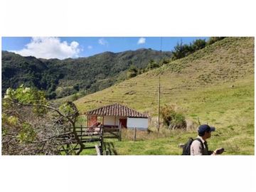 FINCA PARA PROYECTO MEDIANO IDEAL AGUACATES HASS