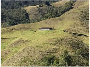 FINCA PARA PROYECTO MEDIANO IDEAL AGUACATES HASS