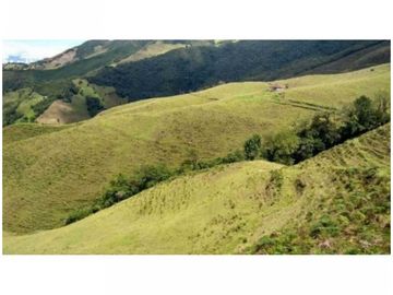 FINCA PARA PROYECTO MEDIANO IDEAL AGUACATES HASS