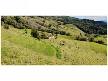 FINCA PARA PROYECTO MEDIANO IDEAL AGUACATES HASS