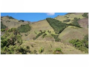 FINCA PARA PROYECTO MEDIANO IDEAL AGUACATES HASS