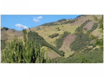FINCA PARA PROYECTO MEDIANO IDEAL AGUACATES HASS
