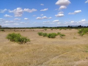 Parcela en venta en CAUQUENES