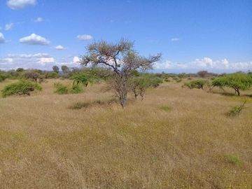 Parcela en venta en CAUQUENES