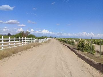 Parcela en venta en CAUQUENES