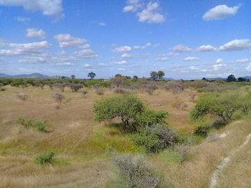 Parcela en venta en CAUQUENES