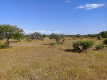 Parcela en venta en CAUQUENES