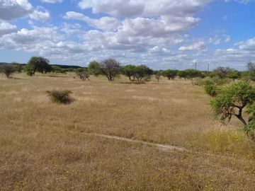 Parcela en venta en CAUQUENES
