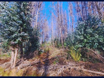 Parcela en venta en SANTA JUANA
