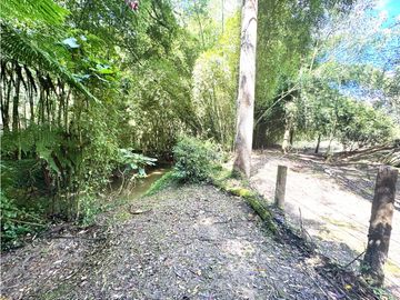 FINCA EN PARCELACIÓN SECTOR LA MACARENA RIONEGRO MARINILLA EL CARMMEN