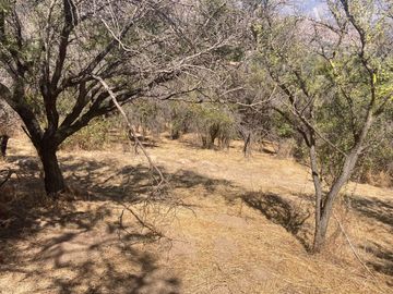 Sitio en Venta en OASIS DE LA CAMPANA