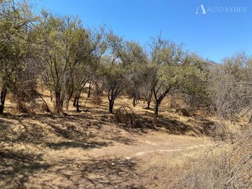 Sitio en Venta en OASIS DE LA CAMPANA