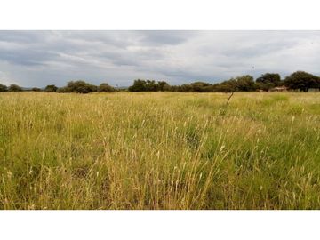 CAMPO EN VENTA-JUAN BERNABE MOLINA -SANTA FE