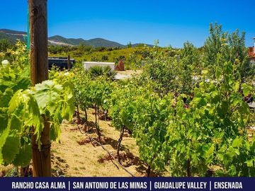 Casa en venta, Av. San Antonio de Las Minas, en Ensenada, México