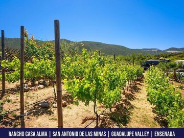 Casa en venta, Av. San Antonio de Las Minas, en Ensenada, México