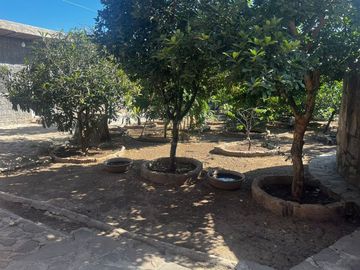 Rancho en Venta en Zapotlanejo, Jal