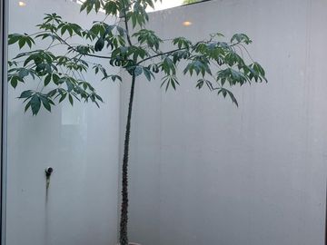CASA EN VENTA EN LOMAS DE ANGELOPOLIS