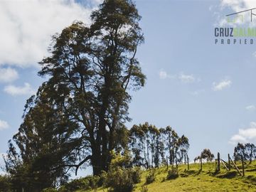 Parcela en Venta en Venta de parcelas camino a Loncotoro km 6,7