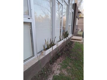 VENTA IMPORTANTE CASA DOS DORMITORIOS IBARLUCEA CON AMPLIO TERRENO
