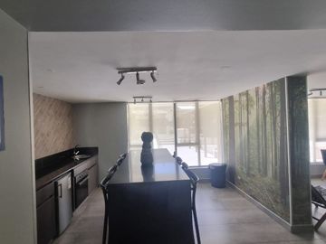 SAN IGNACIO / BLANCO VIEL
