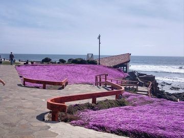 NUEVA PROPIEDAD EN VENTA “ La Paloma Beach & Tennis Resort”