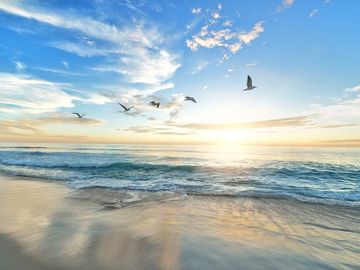 EL DESCANSÓ DESDE TU BALCON | OCEAN FRONT | FINANCIAMIENTO BANCARIO
