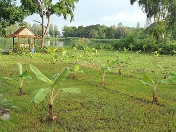 Land for sale in Saphan Sung, Bangkok