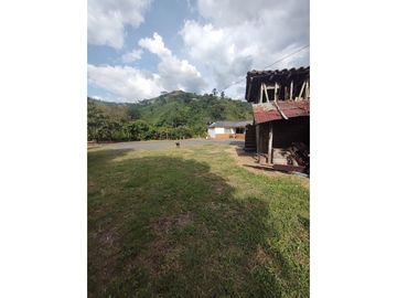 SE VENDE FINCA A 12 MINUTOS DE MANIZALES