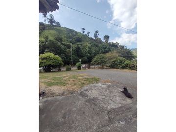 SE VENDE FINCA A 12 MINUTOS DE MANIZALES