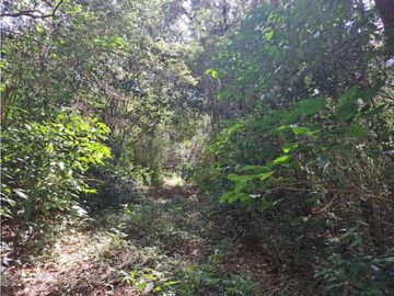 VENDO TERRENO DE 43893MTS VIA PRINCIPAL POTRERILLOS