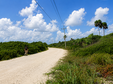 ATENCIÓN INVERSIONISTAS TERRENO EN PLAYA MAHAHUAL QUINTANA ROO