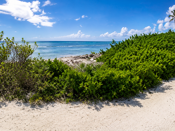 ATENCIÓN INVERSIONISTAS TERRENO EN PLAYA MAHAHUAL QUINTANA ROO