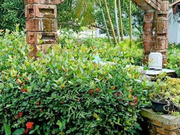 CASA EN VENTA CON AMPLIO TERRENO EN TUXPAN VERACRUZ