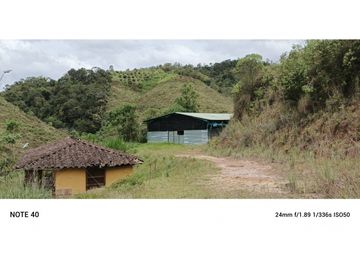 vendo finca productiva san vicente Ferrer Antioquia 93,4 hectareas