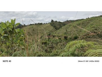 vendo finca productiva san vicente Ferrer Antioquia 93,4 hectareas