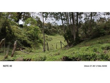 vendo finca productiva san vicente Ferrer Antioquia 93,4 hectareas