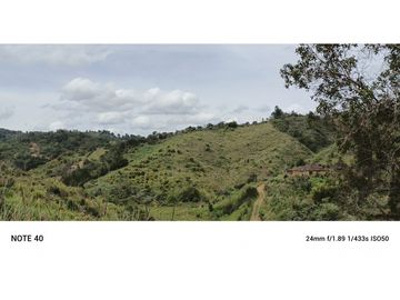 vendo finca productiva san vicente Ferrer Antioquia 93,4 hectareas