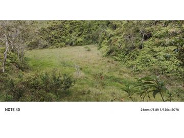 vendo finca productiva san vicente Ferrer Antioquia 93,4 hectareas
