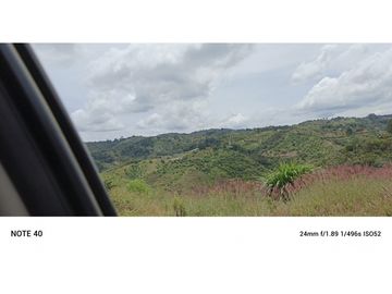 vendo finca productiva san vicente Ferrer Antioquia 93,4 hectareas