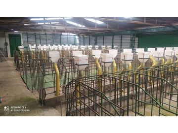 vendo finca productiva san vicente Ferrer Antioquia 93,4 hectareas